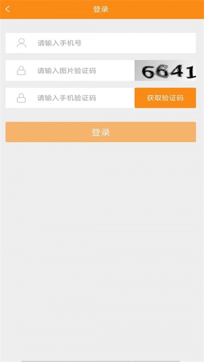 f6智数VIN查询界面