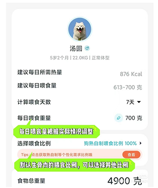体型对照图