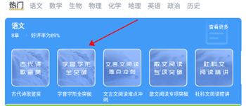 视频课列表界面