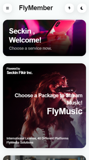 Fly Music歌单界面
