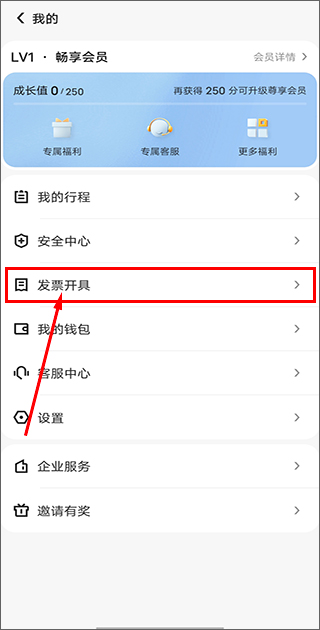 发票管理页