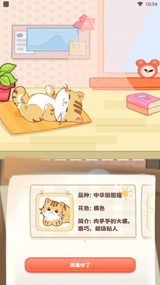 猫咪选择界面
