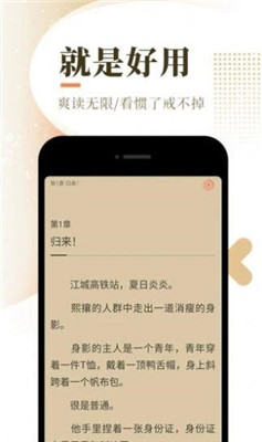 书阅屋最新版阅读界面
