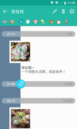 多肉记录效果