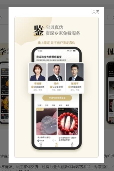 专家在线鉴定截图