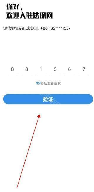 法保网验证码输入界面
