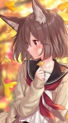 分类书架