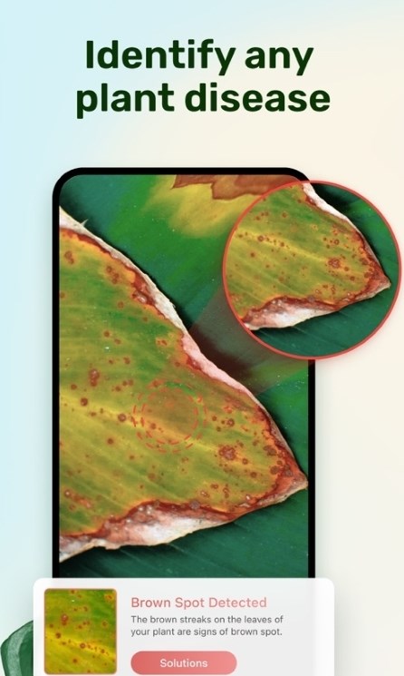 PlantParent