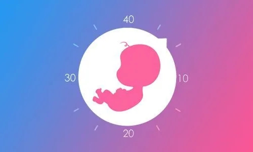 《妈妈网孕育》操作界面示意