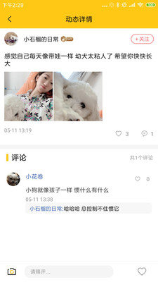 宠物社交活动界面
