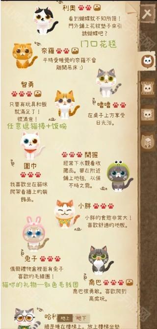 进阶猫咪