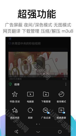 黑狮浏览器安全设置