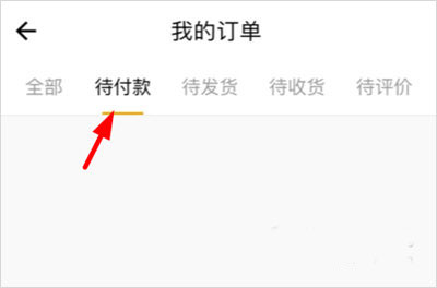 账单支付