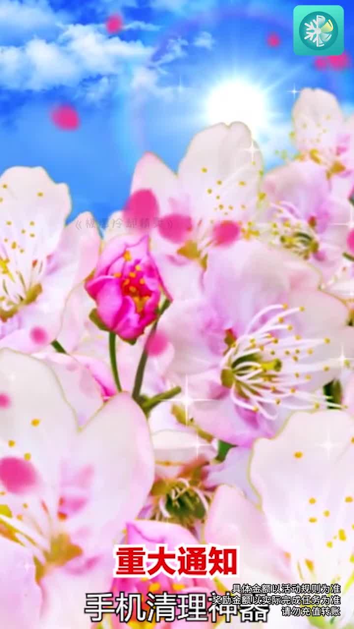 极速冷却精灵主界面