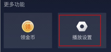 播放设置入口
