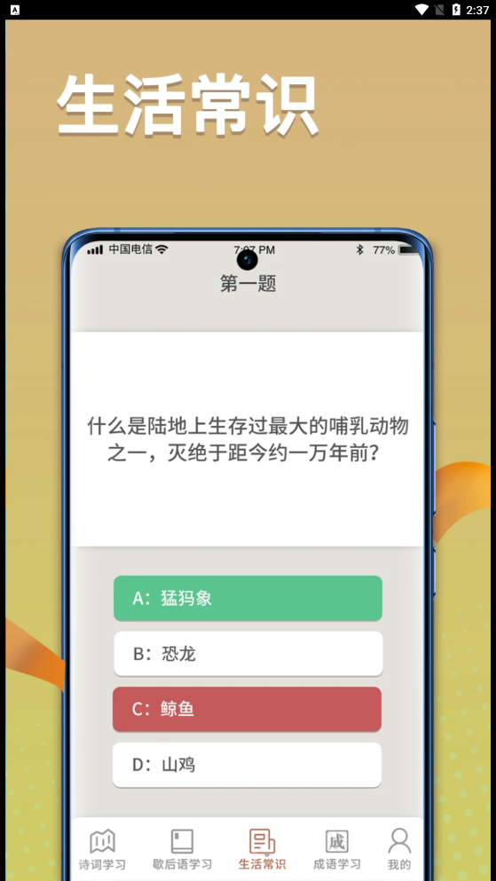 状元等级系统界面