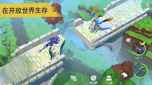 沙漠地图