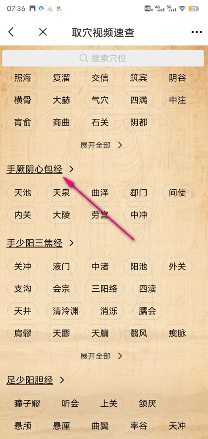 穴位解剖图