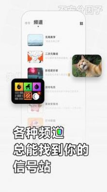 软仆视频功能