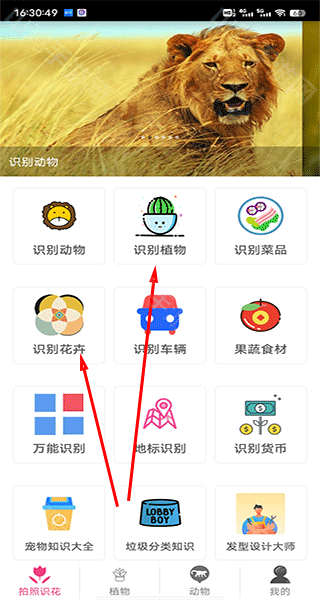 功能选择界面