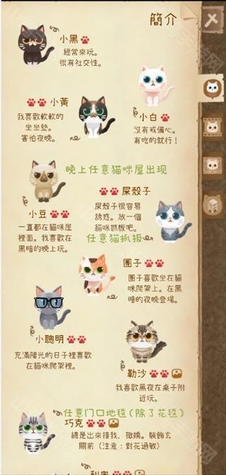 初级猫咪