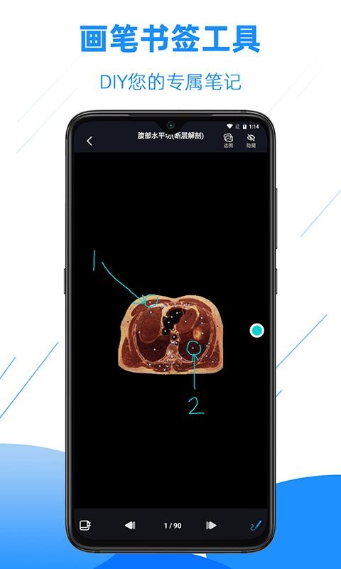 影像解剖图谱操作界面