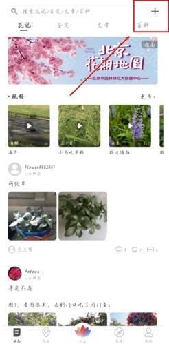发布入口
