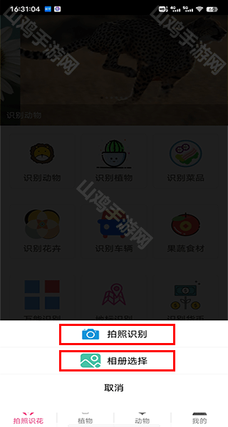 识别方式界面