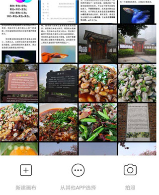 功能入口