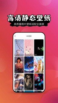 壁纸精灵特色