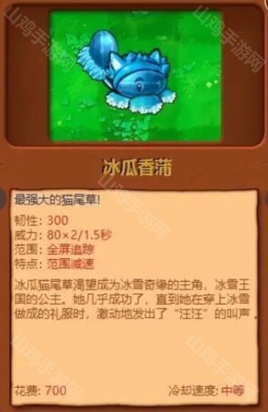 冰瓜香蒲