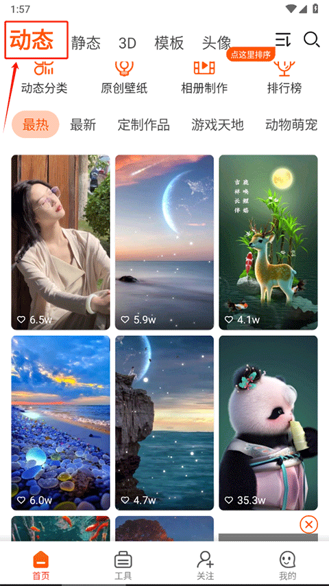 动态壁纸库