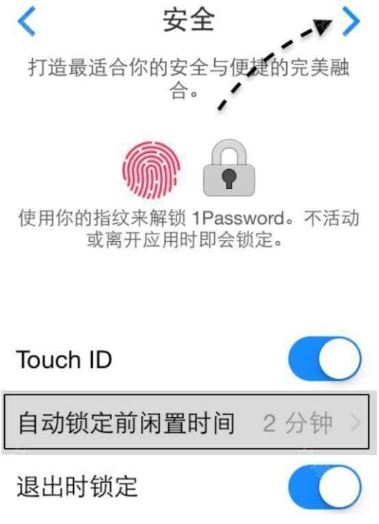 安全设置界面