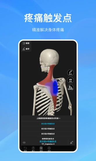 解剖大师最新版
