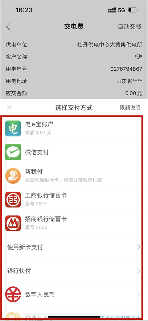 支付选择界面