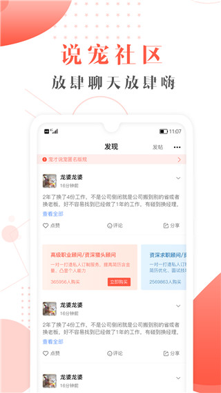 宠才宝消息提醒