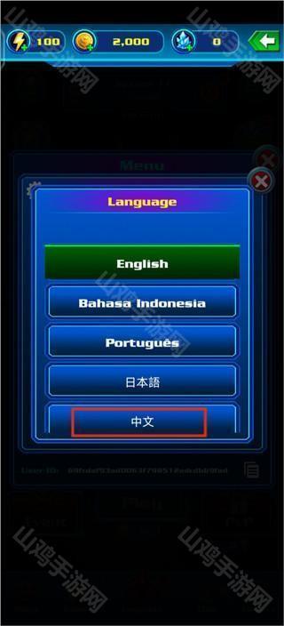 语言选项