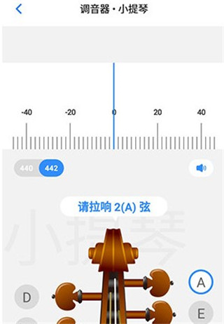 琴弦调整显示