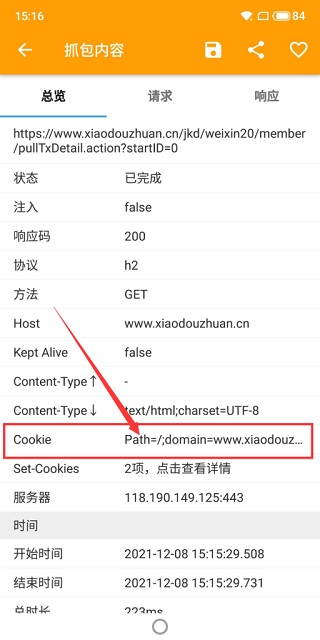 数据包分析界面