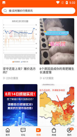 养猪社区交流