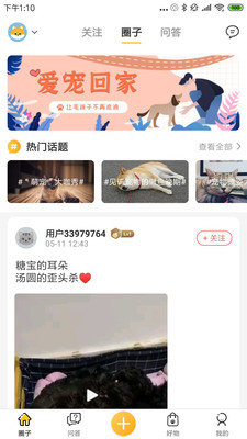 萌宠交流界面实拍