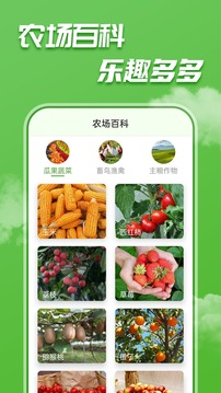 农场红包提现界面