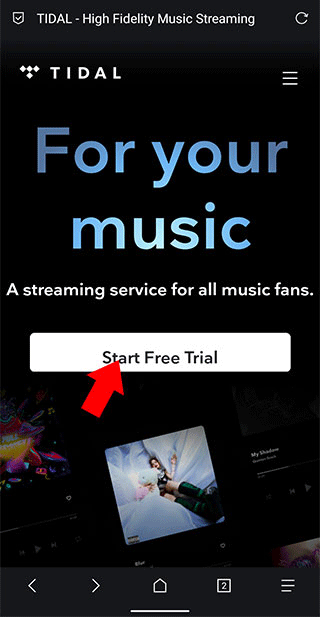 TIDAL官网首页