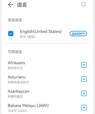 中文选项
