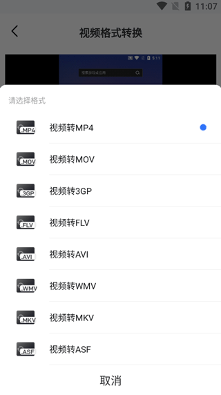 格式选择界面