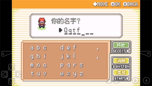 Mega进化战斗