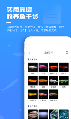 功能界面截图