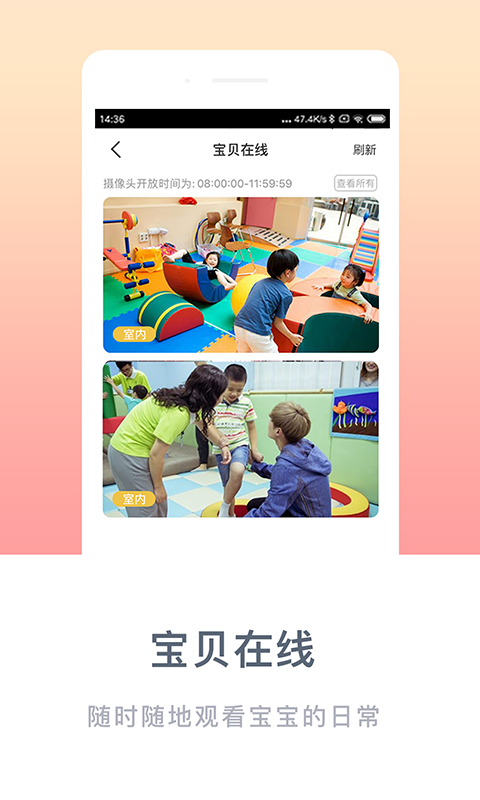 成长报告