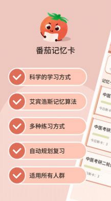 番茄记忆卡知识图谱