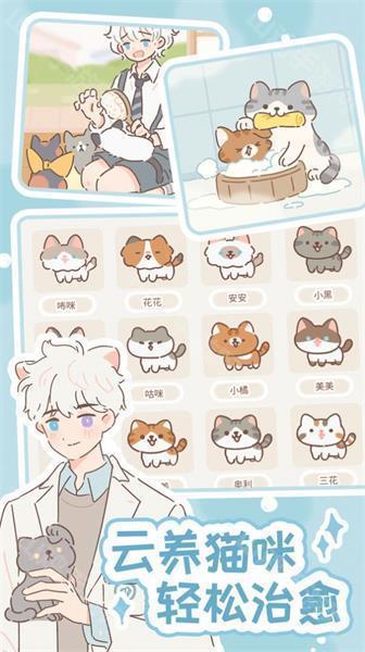 猫咪互动